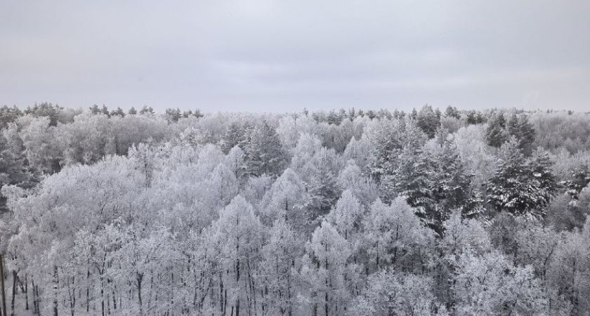 Май обрушит на нас новые циклоны: синоптики предупредили о погодной аномалии на вторую половину мая