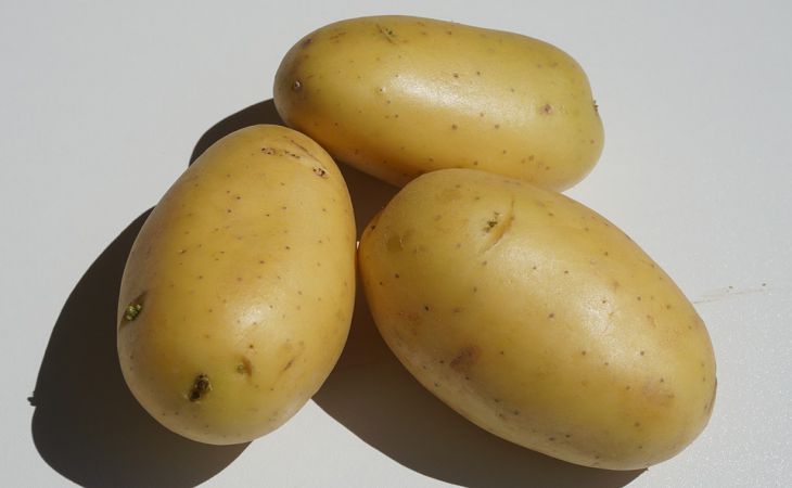 5 ,      