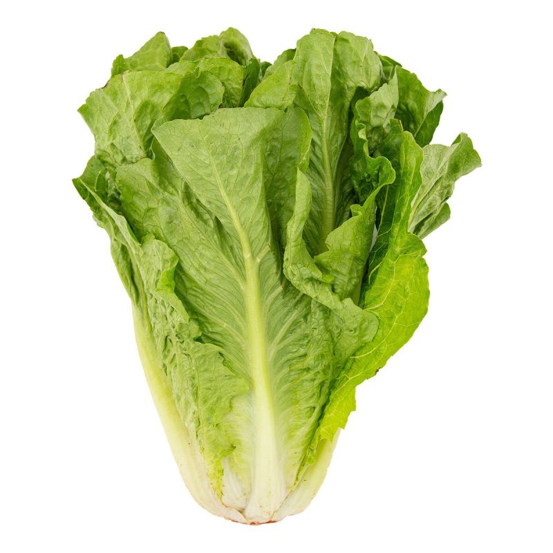  :     ,   