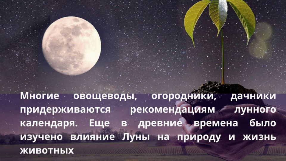   :        