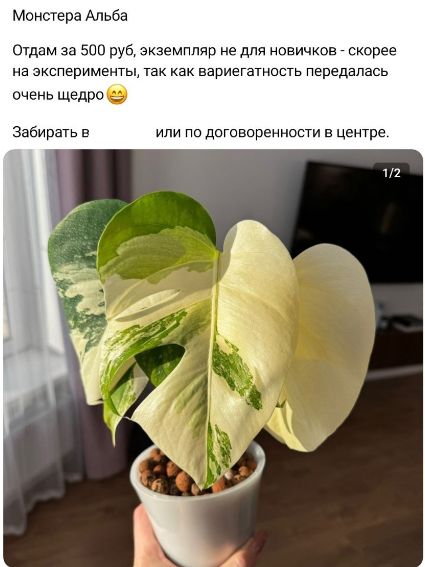   :    