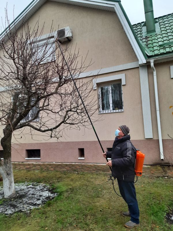 Как правильно обработать сад весной: советы для эффективного старта