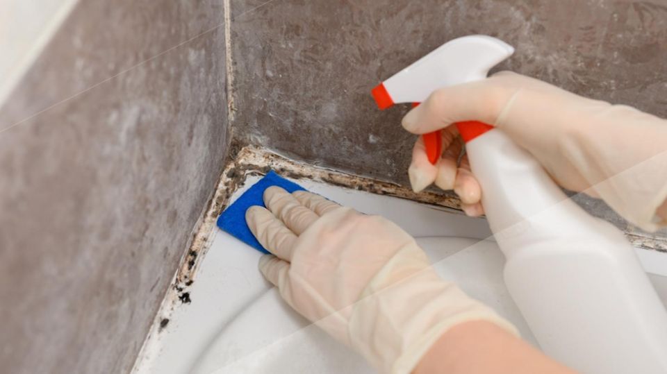 Как избавиться от плесени в ванной: эффективные решения для каждой квартиры