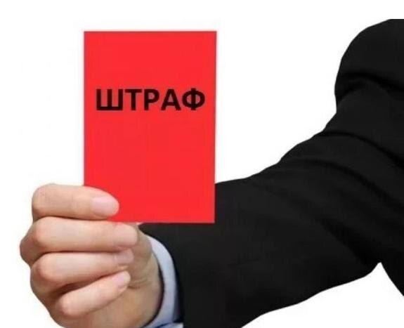 ,  :       2026-2028 