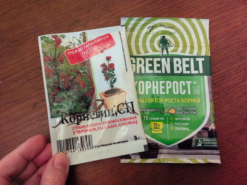 Правила укоренения: как правильно использовать корневин для достижения успеха