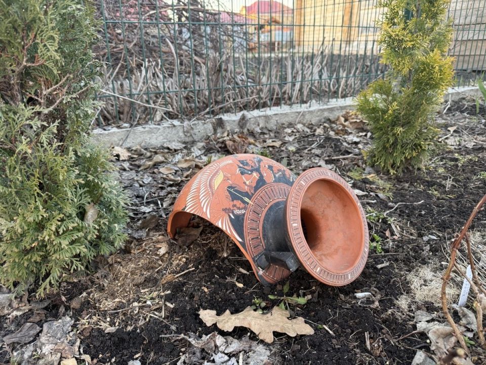 Садовые секреты: что не успели сделать этим летом и как избежать разочарований в будущем