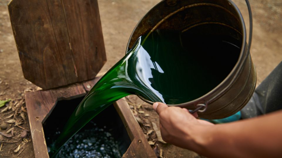 Как простое ведро дрожжевого раствора может улучшить дачные туалеты на целый год