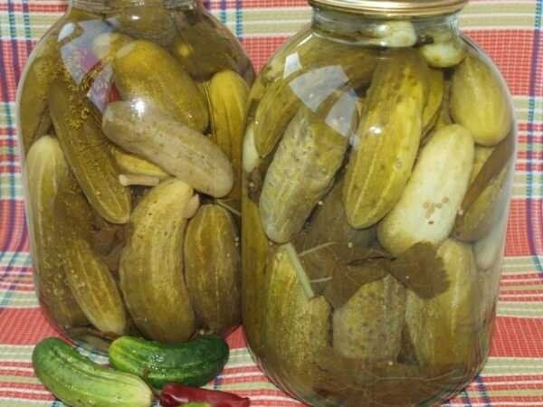 Как заготовить вкуснейшие маринованные огурцы на зиму