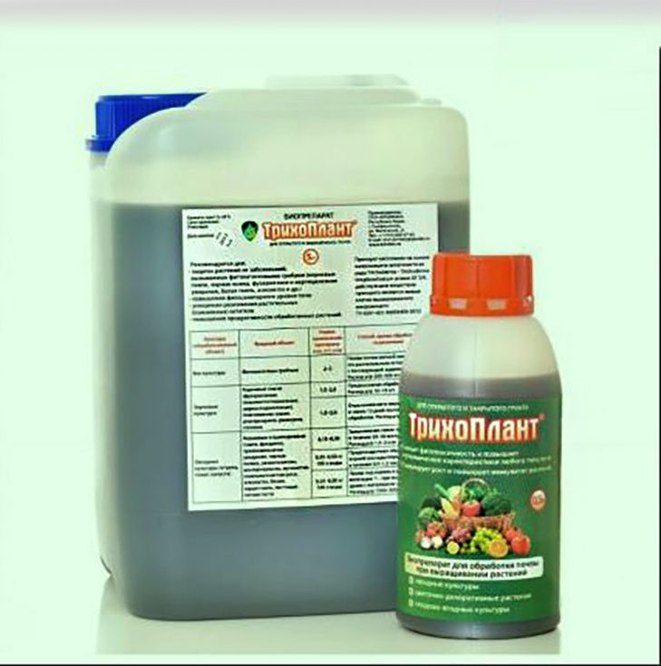 Эко-друзья на огороде: как выбрать и сочетать биопрепараты для лучшего урожая