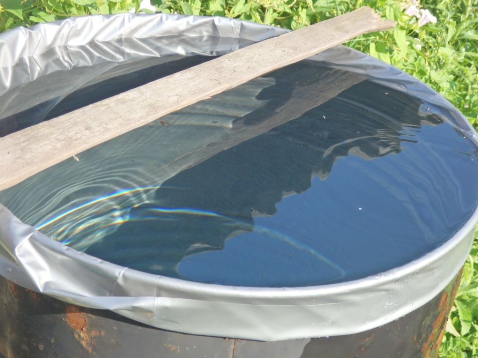 Как выбрать идеальную воду для полива вашего сада: советы и рекомендации