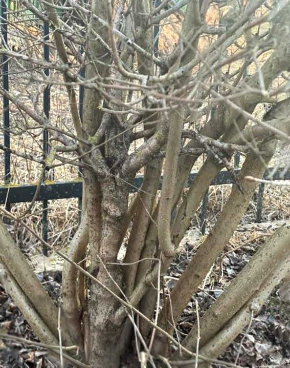 Как утилизировать дачные отходы