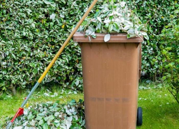 Экологичный подход: революция в утилизации садовых отходов