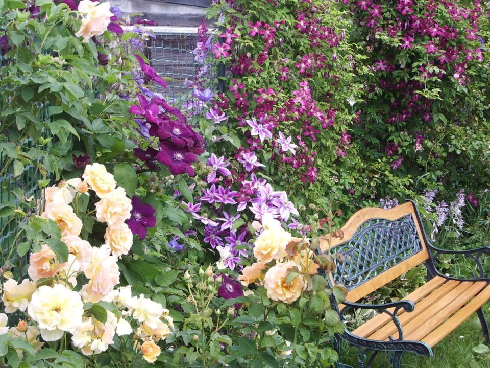 ���������: ����� ������ ������ ��� ������ ���� � 2025 ����