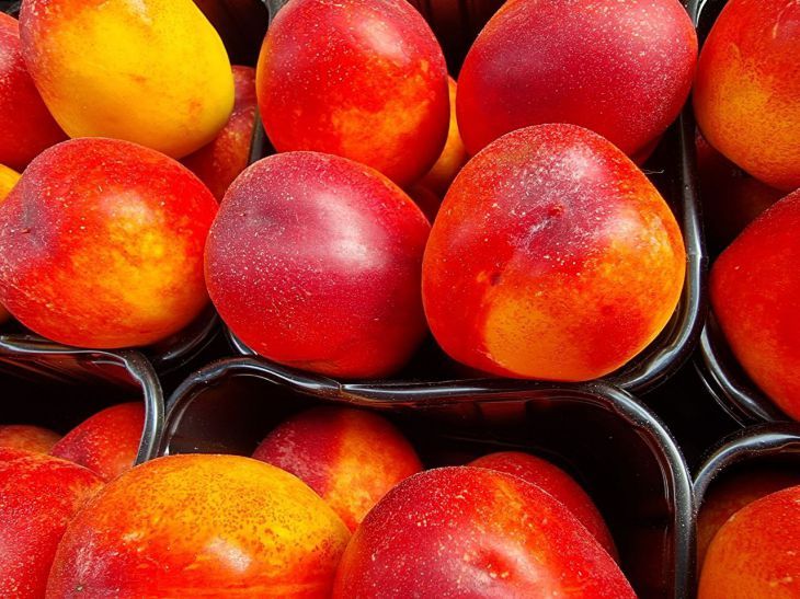 «Каменные» персики созреют моментально: их нужно завернуть вот во что