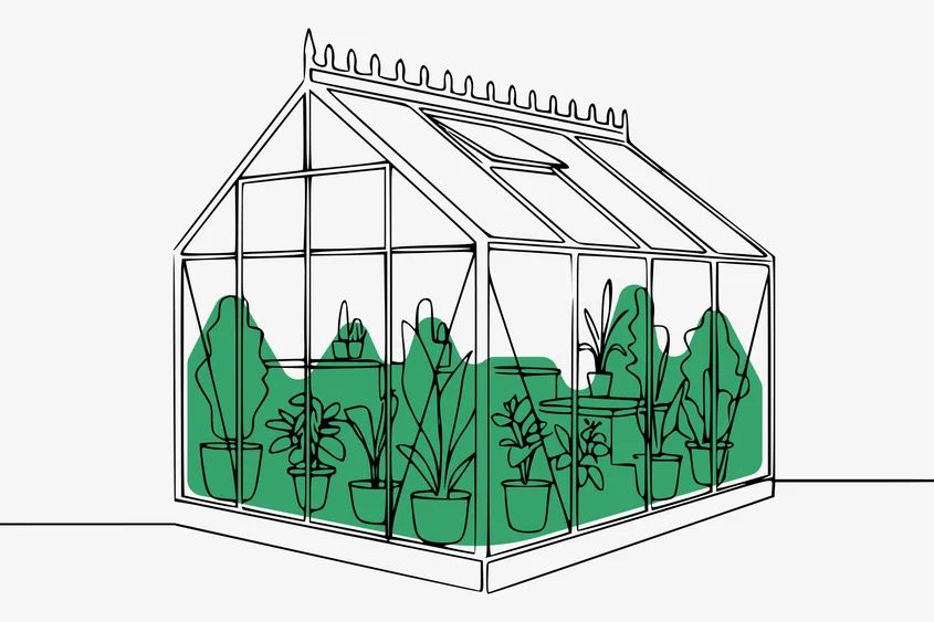 ����������� ��������: ����� ��������� ���� ���������� �������� � 2025 ����