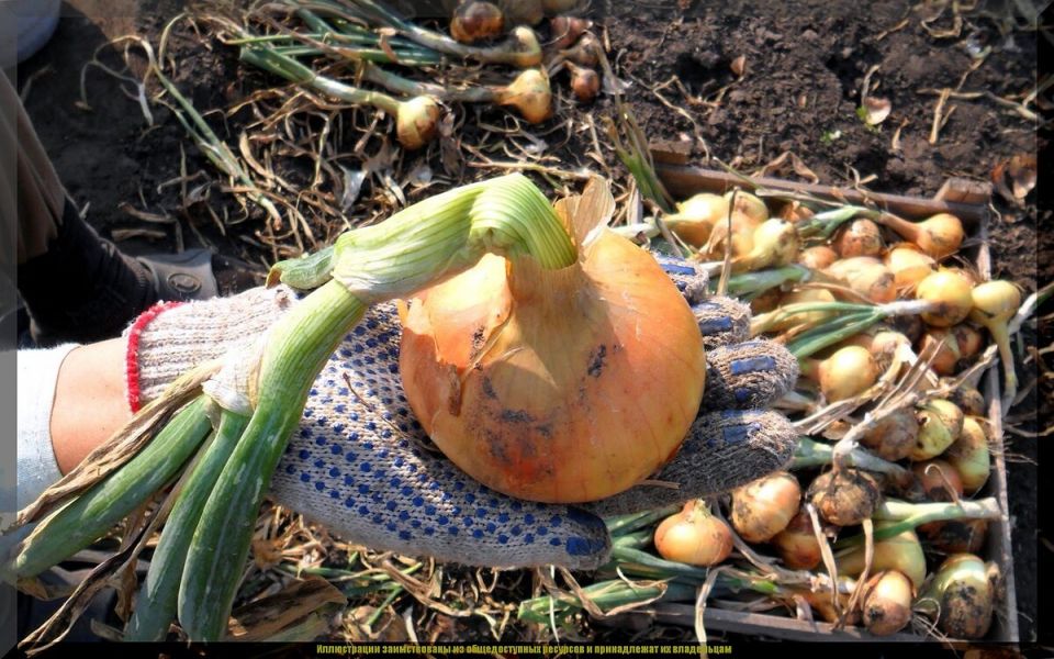 ��� ��������� ������� ���, ����� �� ����� �������� � �� ����������?