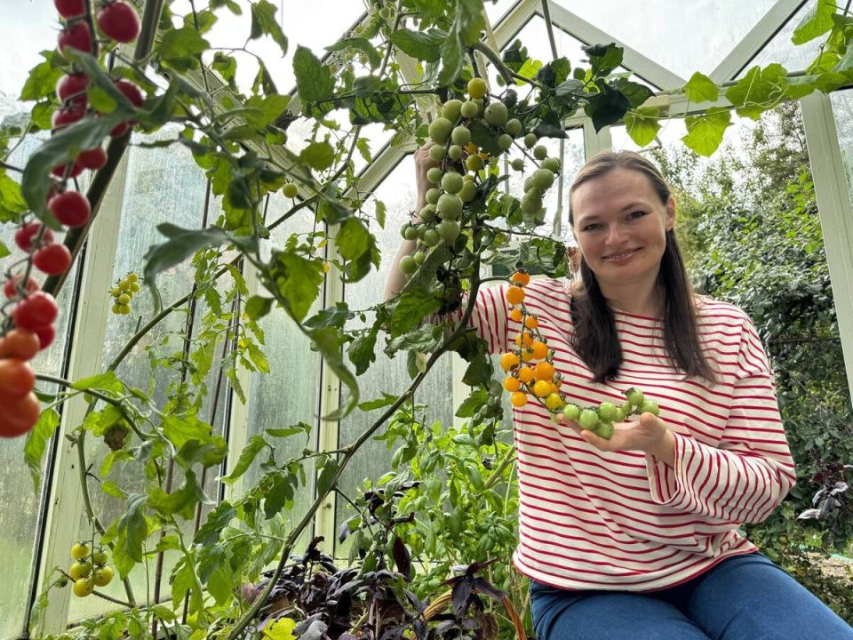 ������ �����: ���������, �� ����� ����� ������ �������