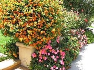 �������������� ����: ���������� �������� � ���������� � ����������� �������