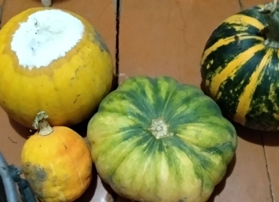 ���������� ����� � ������: ��������� � ������ �� ����������� ������������