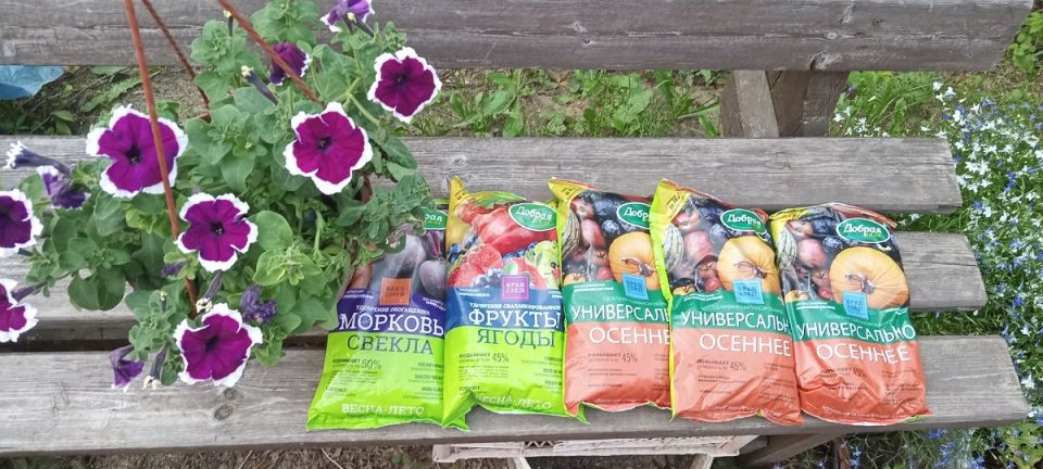 ������� ��������� ������: ��� ��������� ������ ������� ���� � �����������