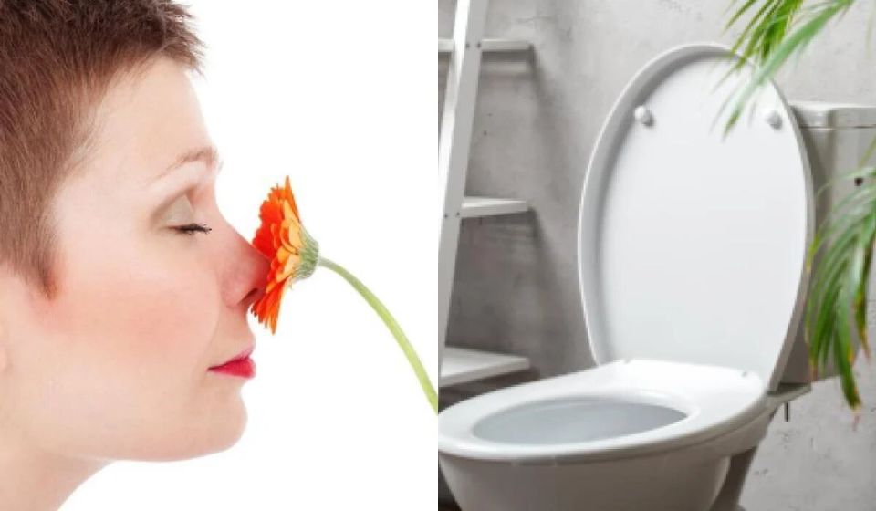 Простые секреты для свежести в туалете: как справиться с неприятными запахами