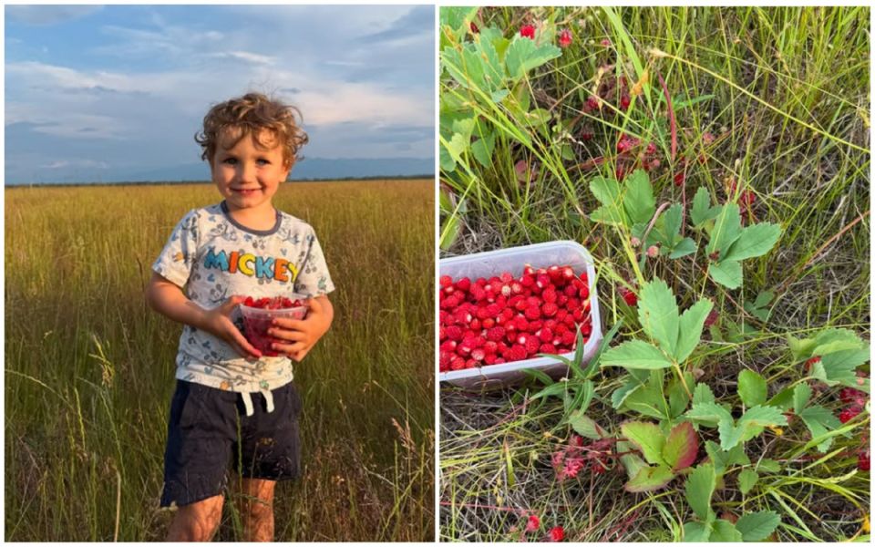 ����� �� ������: ������������ ������������ ��������� ���