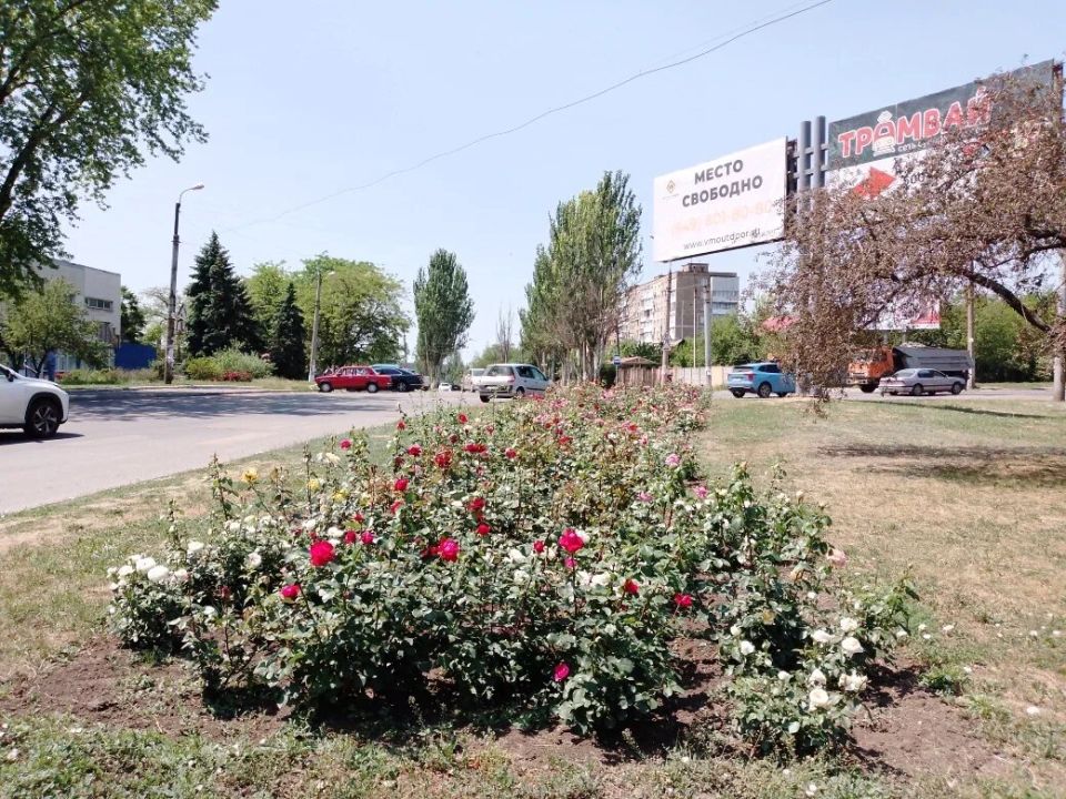 Охота за пенсионным удостоверением: как не терять нервы в очередях