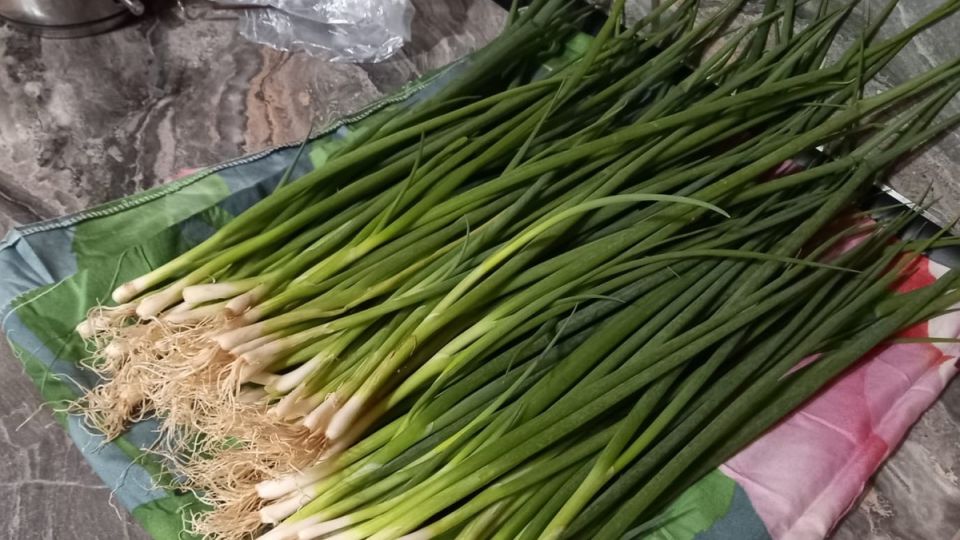 Необычные эксперименты с зелёным луком: как холодильник стал идеальным местом для выращивания