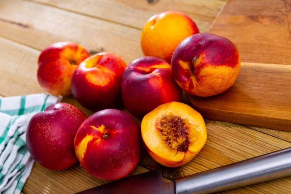 ���������: ������� ����� ����� � ������� ��������