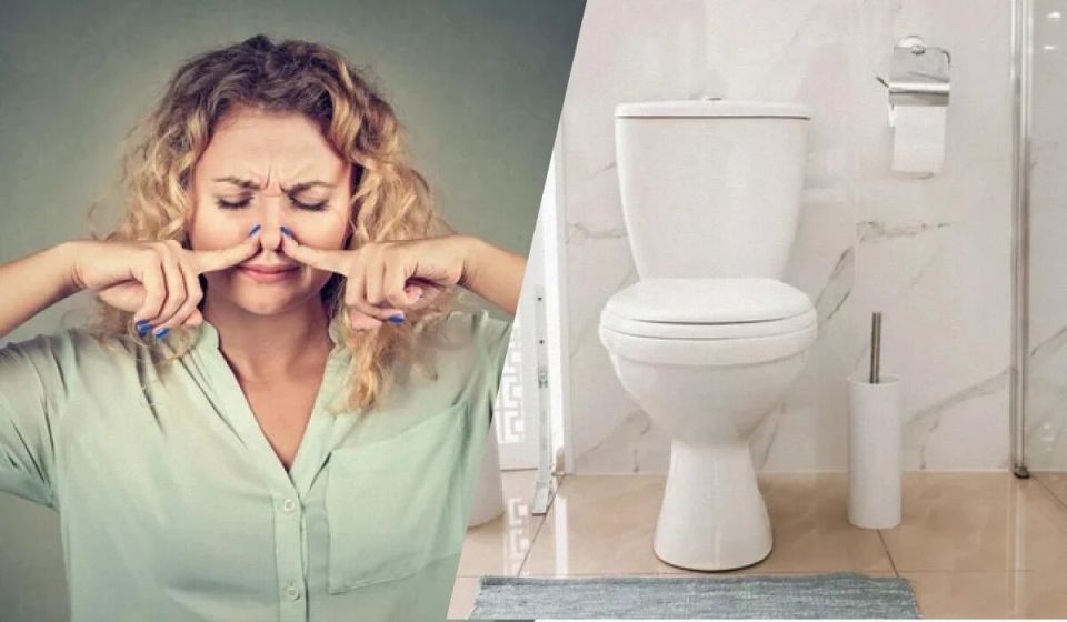 5 ��������� �������� ���������� �� ����������� ������ � �������