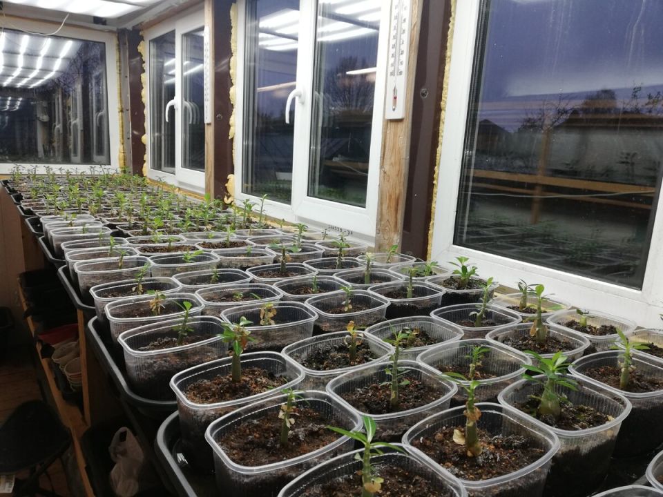 ��� ���������� ��������� ������� ��� ��������� � ������ ������