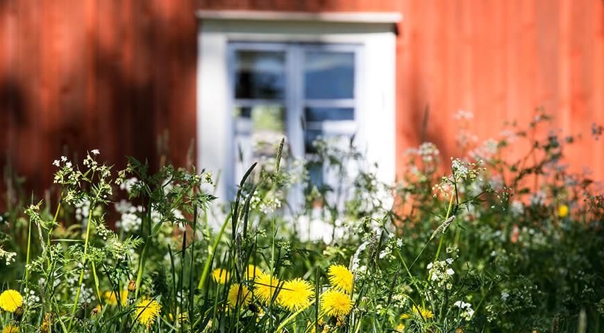 Штрафы от Росреестра: неожиданные последствия для владельцев частных участков