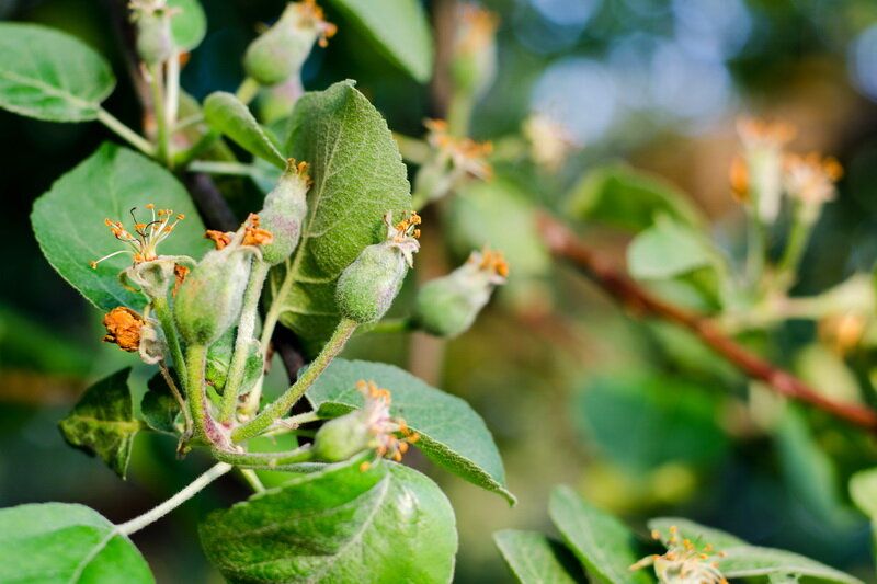 ������ ������� ������ �������� �������� � ��� � ���� ��������?