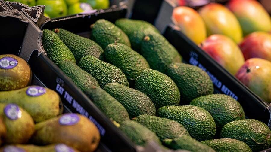 Как выбрать идеальное авокадо: секреты и советы для грамотного покупателя