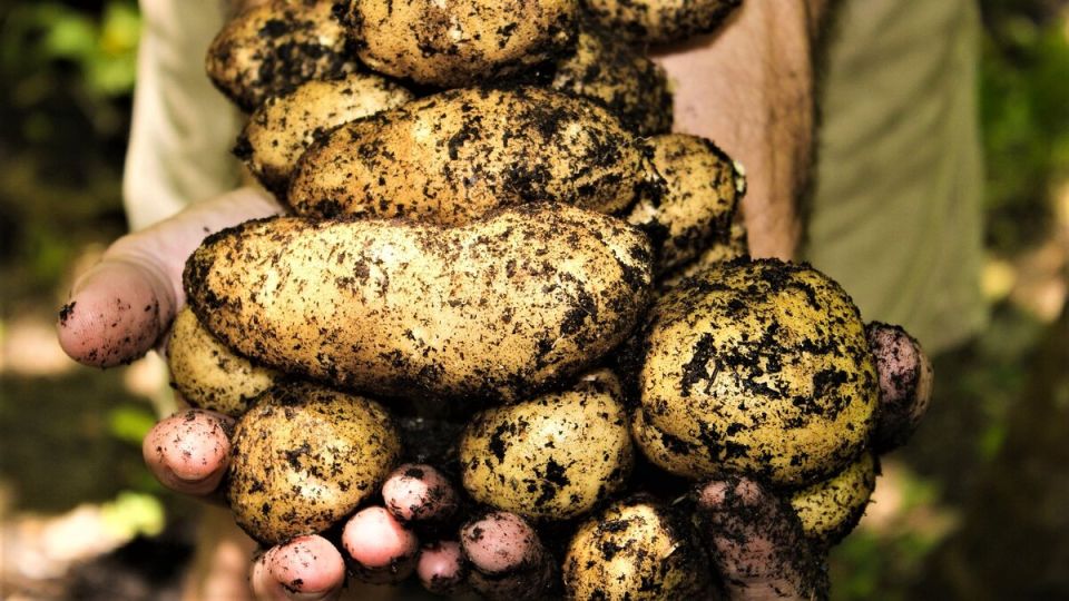 �� ������� � �������� ��������� � ���������, ��� �� ������������ ���������