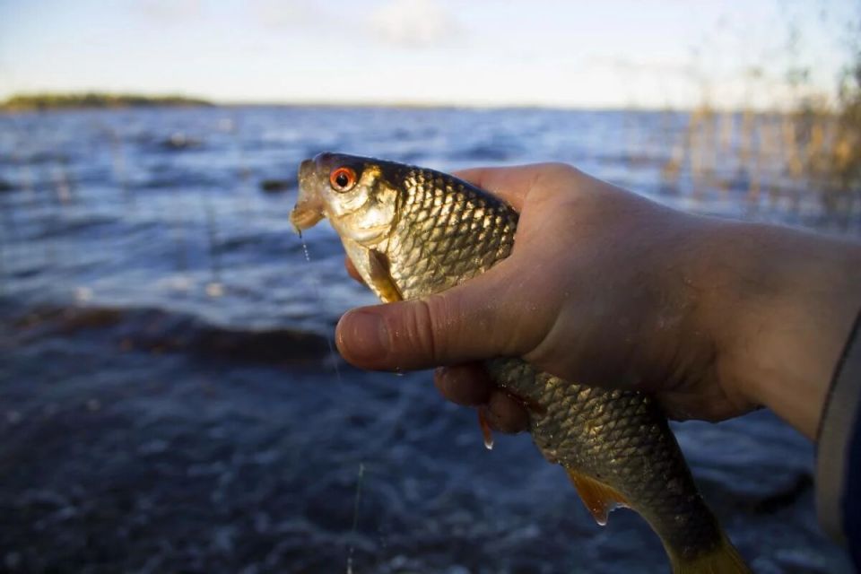 ������� �������� ����� ������: �����, ��� � �� ��� ������