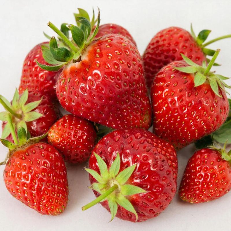 ��� ����������� �������� � ����: ������ �� ����� � �������