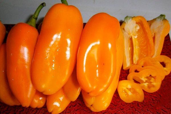 ��������� ����� ��������: ��� ����� ����� � ��������