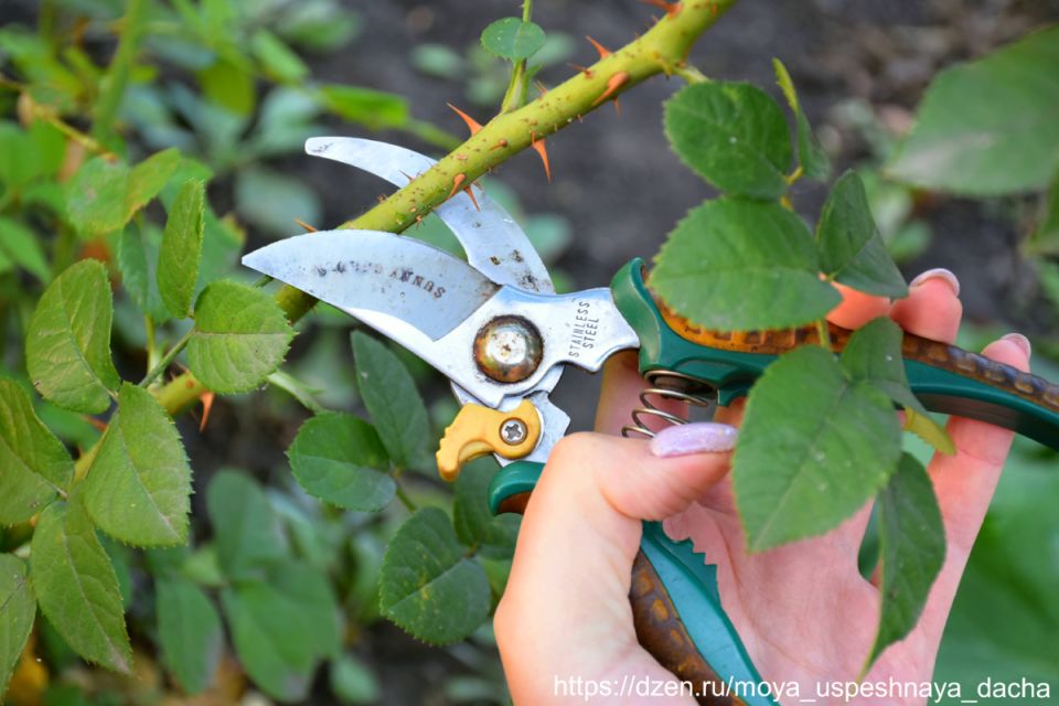 ������� ������ � �����: �������� �������