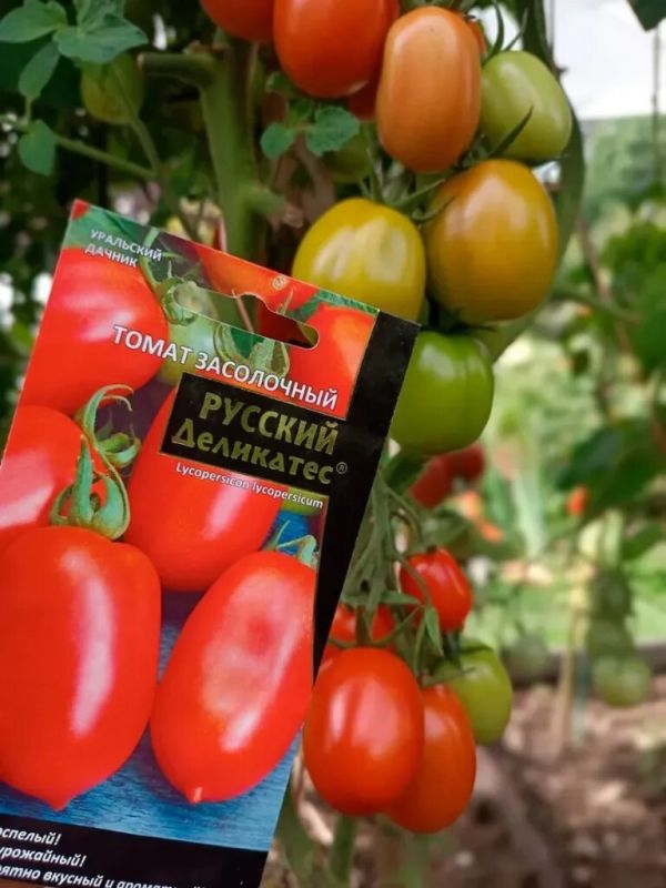 ����� ����������� ���������: ��������� ����� ��� ����������� � ������� ��������