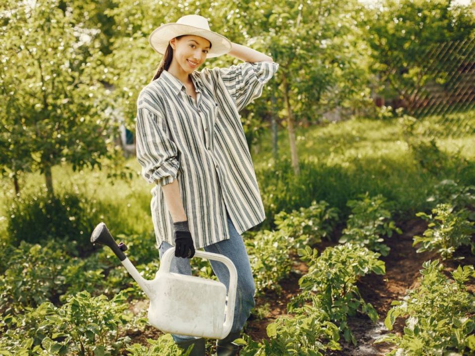 ������� ������� �����������: ��� ������� ������ ������� ����� � ��������