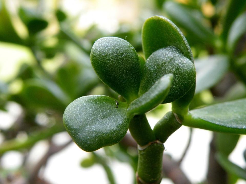 ������ ������� �� ������ ��������� ������ �� ������ ������� ����