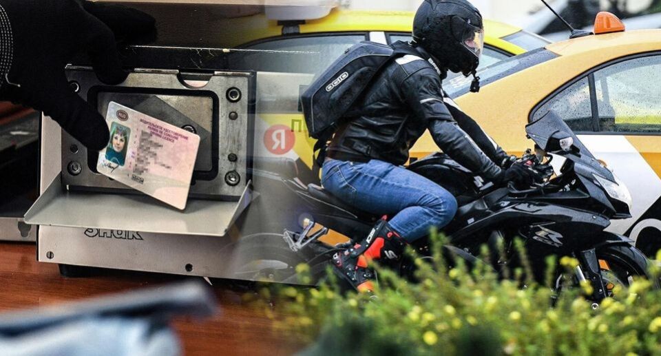 ������, �����, ��������� � �����: ������ �������� ��� �������������� � 2026 ����