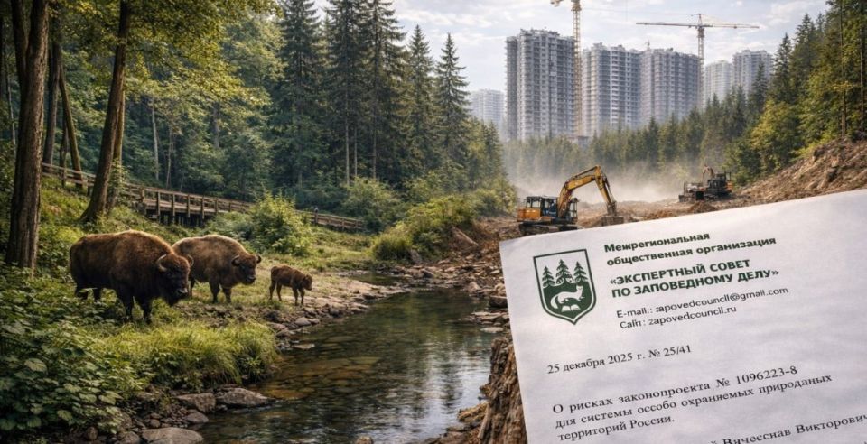 Новый законопроект угрожает заповедникам России: ученые выступают с предупреждением