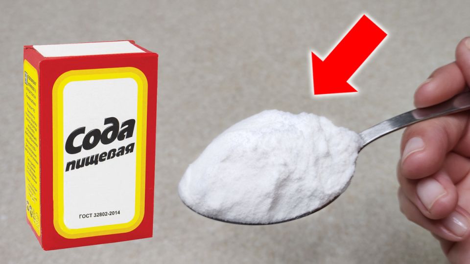 ��� �������� ���������� � ����� ��������� ������� ������