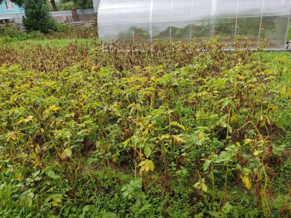 ������ ��������� ���������� ������� ��� ������ � ��� � ���� ������