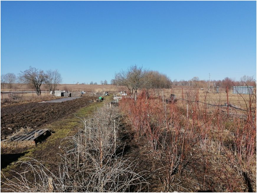 ��� ���������� ����� ���� �������� ����� �� ������� � ��� ��� ������ �������