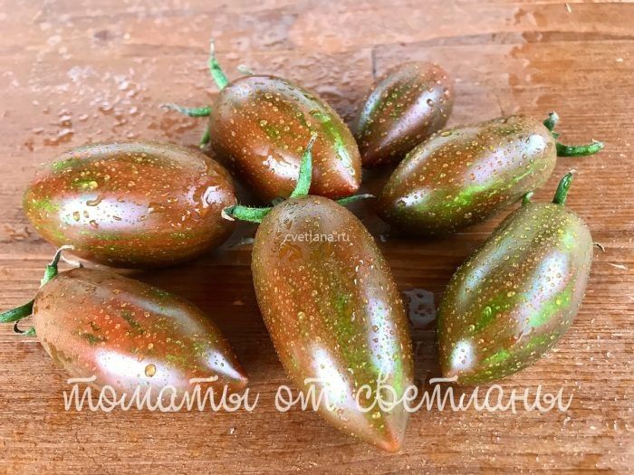 Томат Сказочный монстр: необычный сорт с крупными плодами и мощным кустом