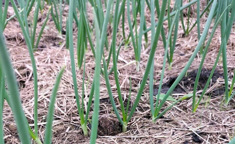 �������� �� ���� ������: ��� �������� ������ � ������������� � �����