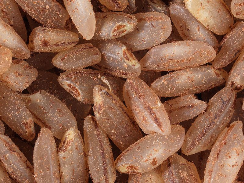 ��� ������� ��� ��� ����� � ������ ��� ����������� � ��������� ��������